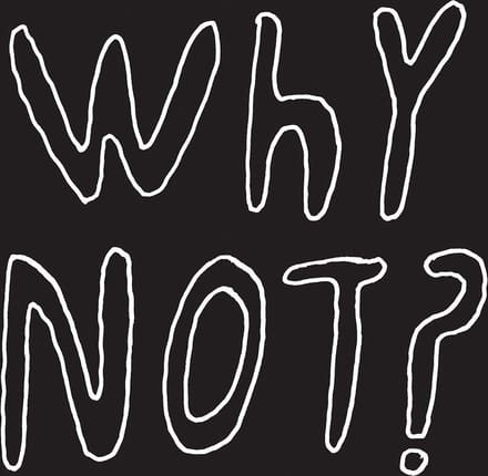 1/2 Japanese - Why Not? (CD)