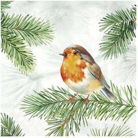 Servet "Charming Robin"