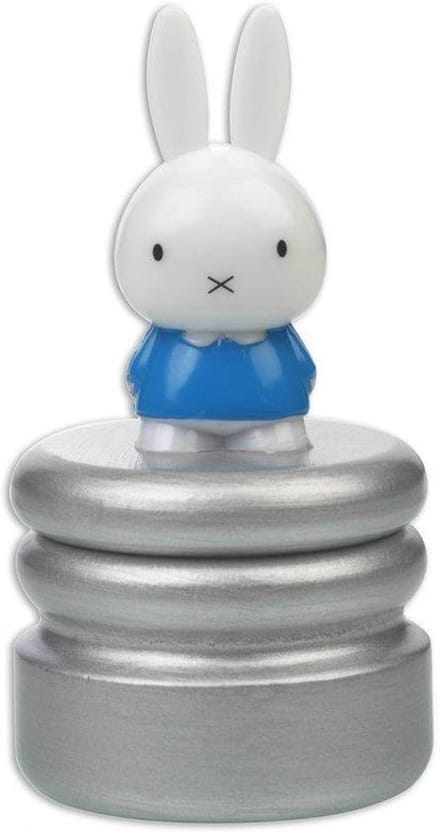 Bambolino Toys Nijntje Tandendoosje - Blauw