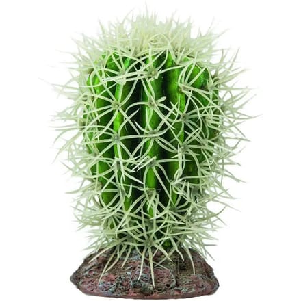 Cactus terrarium decoratie Hobby Great Basin