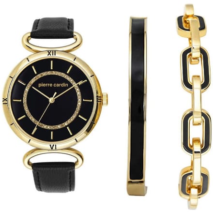 Pierre Cardin Watch PCX5759L251 Dames