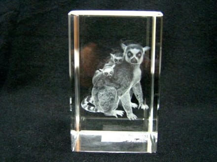 Glasblokje Ringstaartmaki met Baby’s 3D – Lasergravure – Cadeauverpakking 8 cm