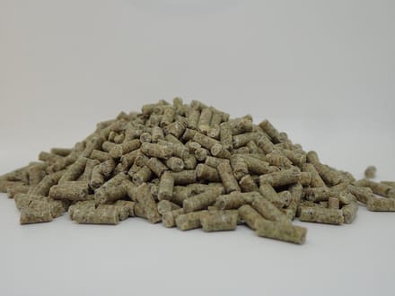 BoGi Voeders 023 Legkorrel - 20 kg- kippenvoer