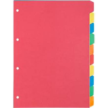Kartonnen index Schäfer Shop Select, set van 1, 4 perforaties, 160 g/m² gerecycled karton, 10 stuks