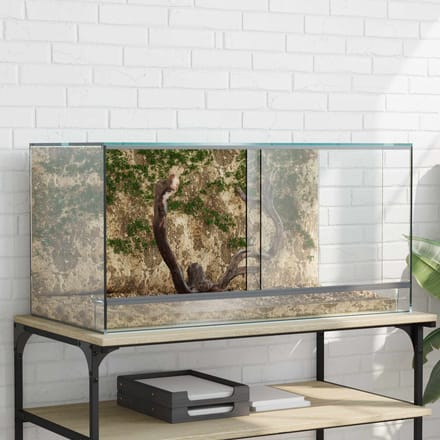 vidaXL Terrarium met opslag Transparant 80 x 40 x 40 cm Glas