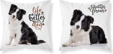 Bordercollie Hond Sierkussen kussen 40x40cm incl vulling