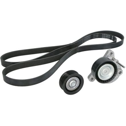 Schaeffler Ina V-snaar set (met rollen) INA 529 0499 10