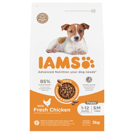 IAMS Advanced Nutrition Puppy & Junior Small / Medium Kip Hondenvoer - Dubbelpak: 2 x 3 kg