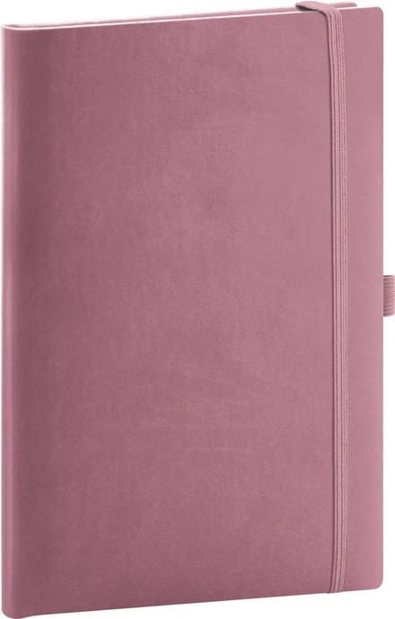 Aprint Neo Pink Notitieboek A5 Stippen