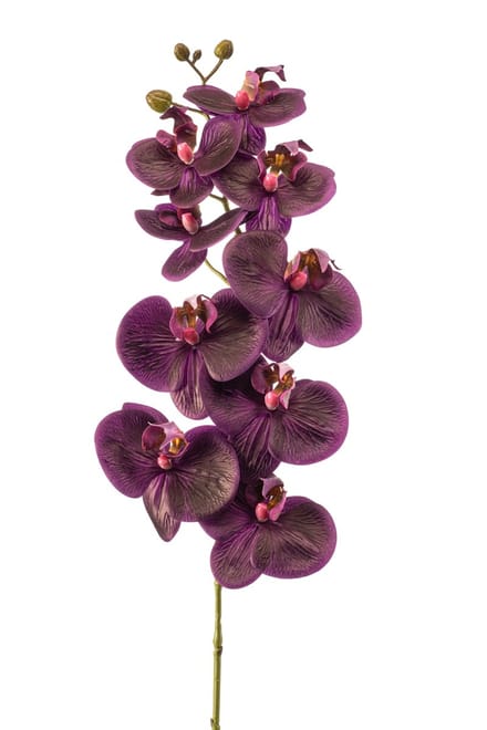 Emerald - Kunstbloem Phalaenopsis RT 95cm paars - Kunstplant voor binnen