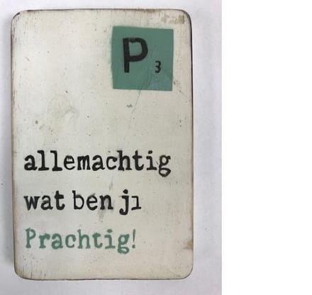 Houten Magneet 6x9 cm Prachtig
