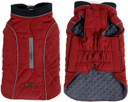 Honden jasje - Jasje - Jas - Winter - Kou - Koud - Wandelen - Hond - Rood - L