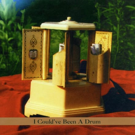 I Could'Ve Been A Drum