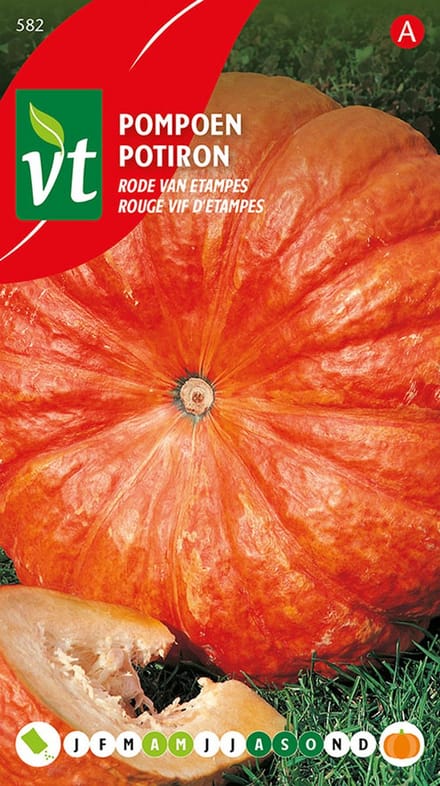Pompoen Rode van Etampes Zaden - Grote, Geribde Oranje-Rode Franse Pompoen