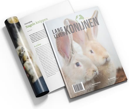 Lang Leven Konijnen magazine - nummer 6