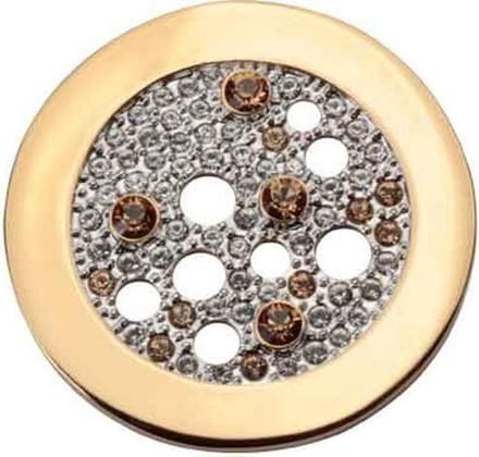 Quoins Transparency Of Life Disk Goud QMOA-19-G-L