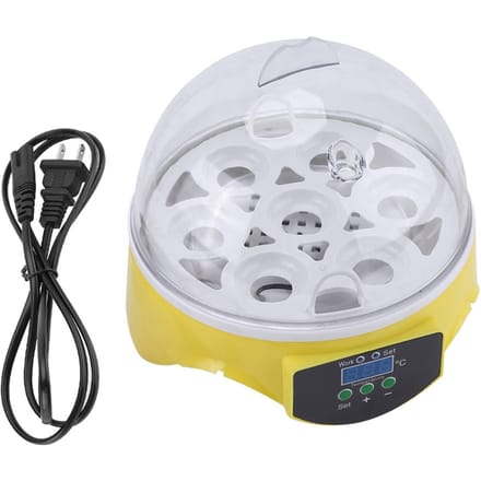 Incubateur numérique transparent pour poulet, canard, oiseau, 7 œufs, éclosoir, ménager white