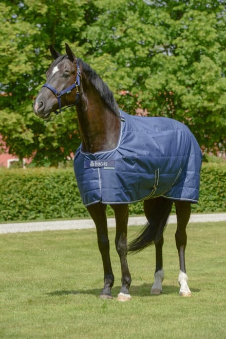 Quilt 300 Dermo-Care 130/175 - Onderdeken