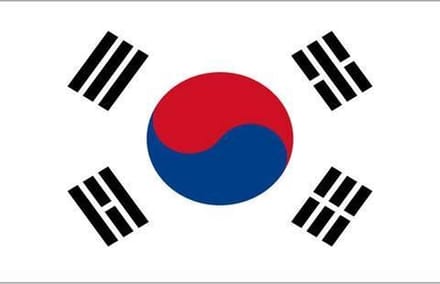 New Age Devi - Vlag van Zuid-Korea | Zuid-Koreaanse vlag - 90 x 150 cm