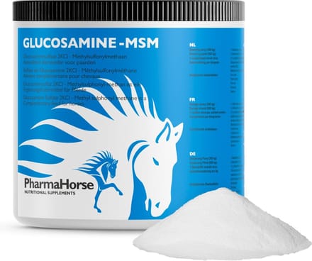 Glucosamine & MSM paard 500 gram