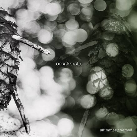Orsak:Oslo - Skimmer / Vemod (LP)