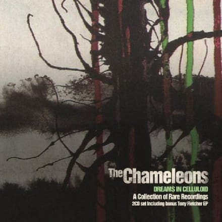 Dreams In Celluloid - Chameleons
