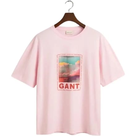 T-shirt Gant Washed Graphic