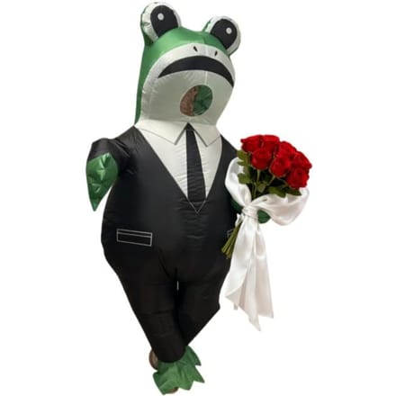 Feest Kikker Opblaasbaar Kostuum, Volwassenen 150-190cm zwart