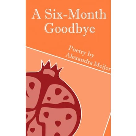 A Six-Month Goodbye - Alexandra Meijer