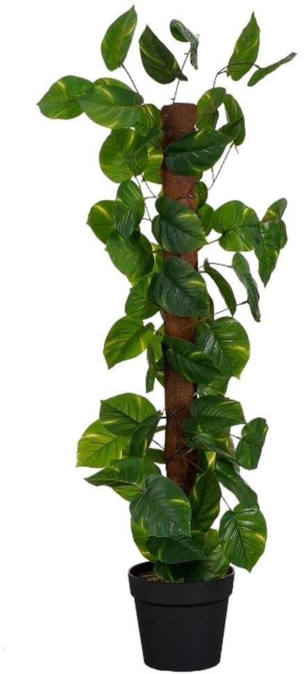 Mica Decorations kunstplant Pothos in pot groen , H120xD40cm