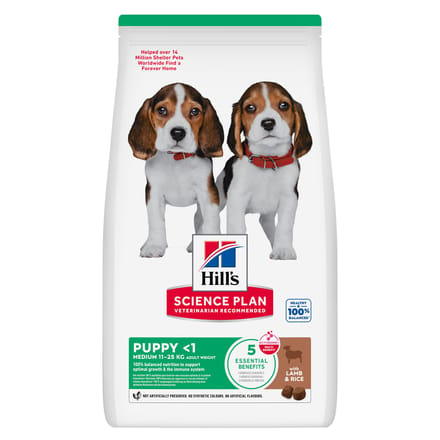 18kg Puppy