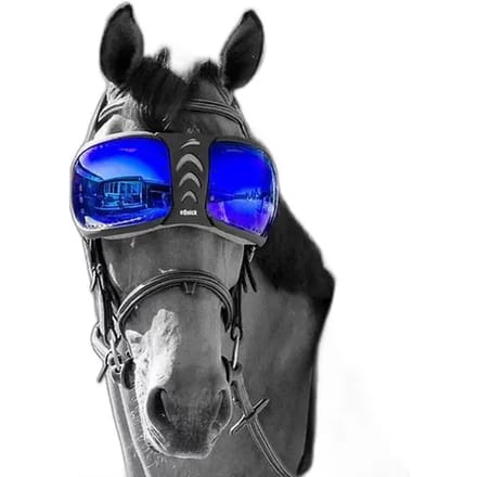Reserve lenzen voor paardenbrillen eQuick eVysor