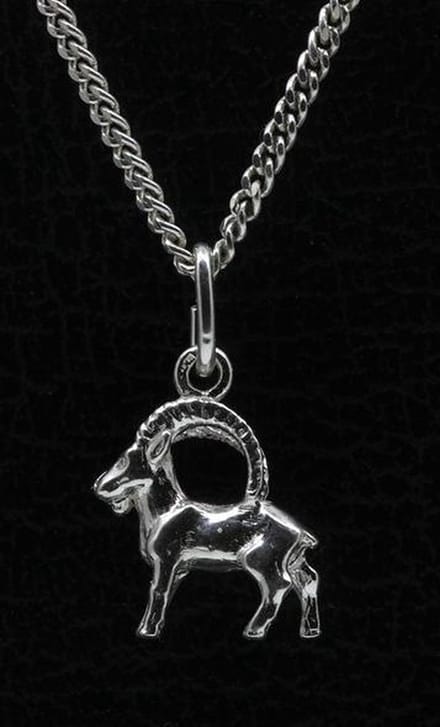 Zilveren Sterrenbeeld Steenbok ketting hanger - klein
