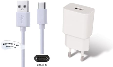 OneOne 2A lader + 1,0m standaard USB C kabel. Universele oplader adapter past op BlackBerry DTEK60, Evolve, Evolve X, Key 2, Key 2 LE, KEYone, Mercury, Motion /