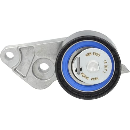 Tandriempoelie SKF VKM 14222