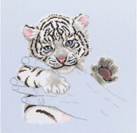 Little tiger warmth in palms | RTO