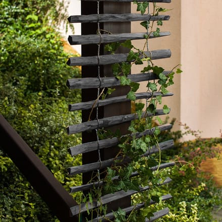 Plantenladder zwart 100 cm x 200 cm