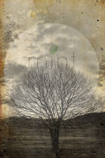 Sepia Tree- Mint by Michelle decoupage papier A1