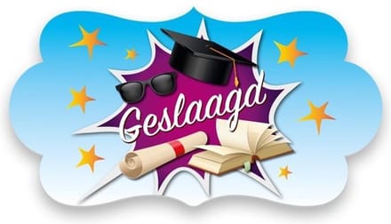 Witbaard Huldeschild Geslaagd 42 X 22 Cm Karton Blauw/paars