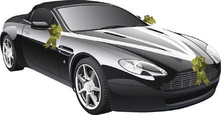 Chaks Trouwauto decoratie lint - wit/ goud - just married - bruiloft benodigdheden