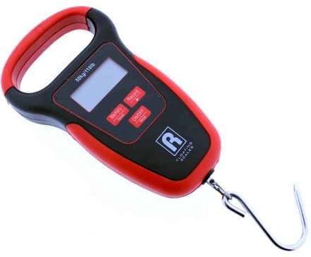 Rozemeijer Floating Digital Scale With Thermometer (50kg/110lb) - Weegschaal