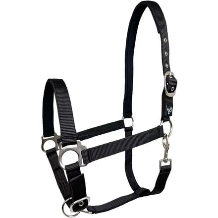 Nylon paardenhalster York Dora