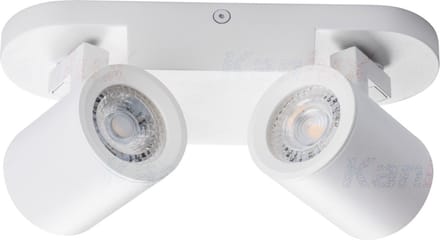 Laurin 2 wandlamp - plafondlamp spot - incl LED - wit