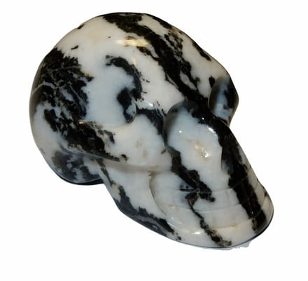 Schedel van Natuurlijke Jaspis Zebra