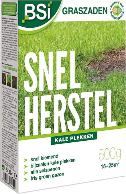 BSI - Graszaad Snel Herstel - 500 g voor 25 m²