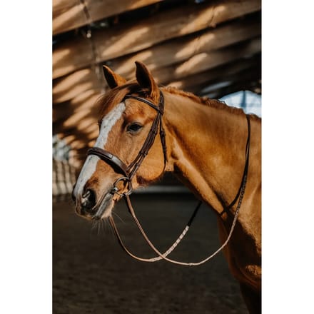 Hoofdstel Norton Hunter Fancy