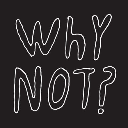 Half Japanese - Why Not? (LP)