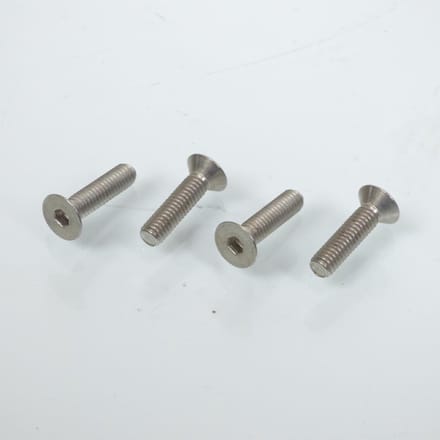 Set van 4 RVS inbusschroeven rempompdeksel M4 spoed 0.7 x 16mm voor motor