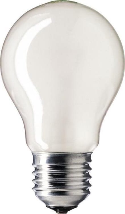 25W Philips standaard gloeilamp mat E27
