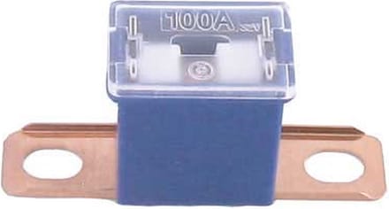 FLB-S pal zekering 100 amp 1 stuk